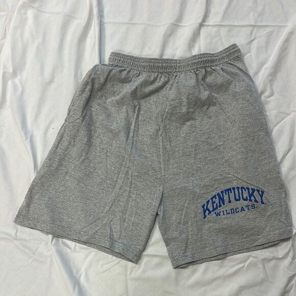 Gray and Blue Athletic Shorts with Elastic Waistband - Picture 1 of 5